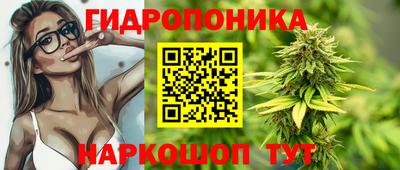 стафф Дубна