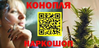 стафф Дубна